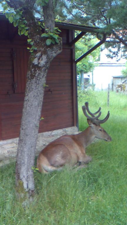 Appartamenti De Sanctis Villetta Barrea Exterior foto