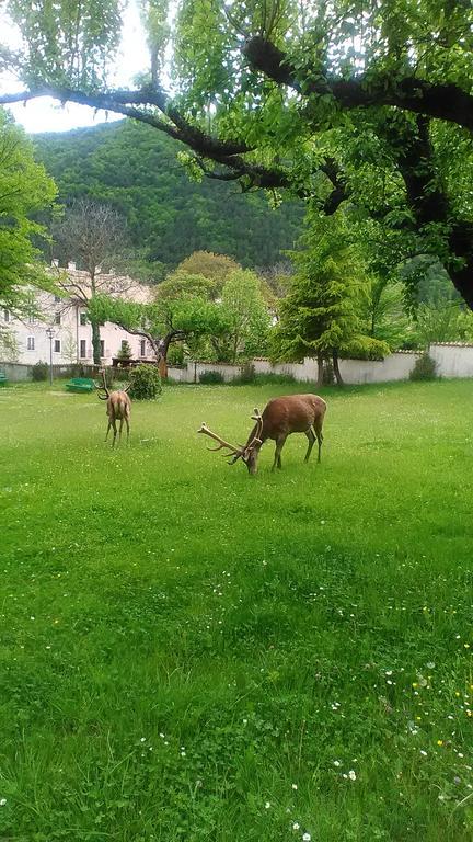 Appartamenti De Sanctis Villetta Barrea Exterior foto