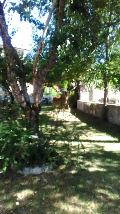 Appartamenti De Sanctis Villetta Barrea Exterior foto